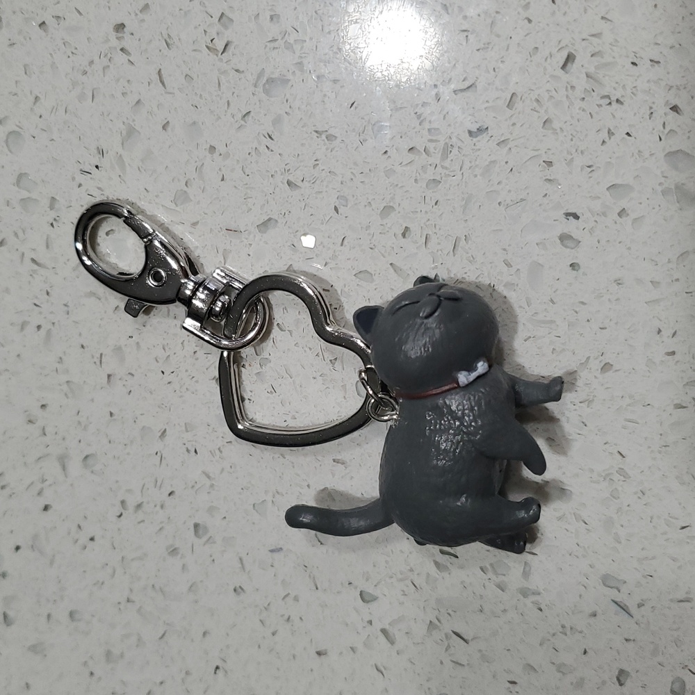 Gray BOY CAT Keychain - Picture 2 of 3